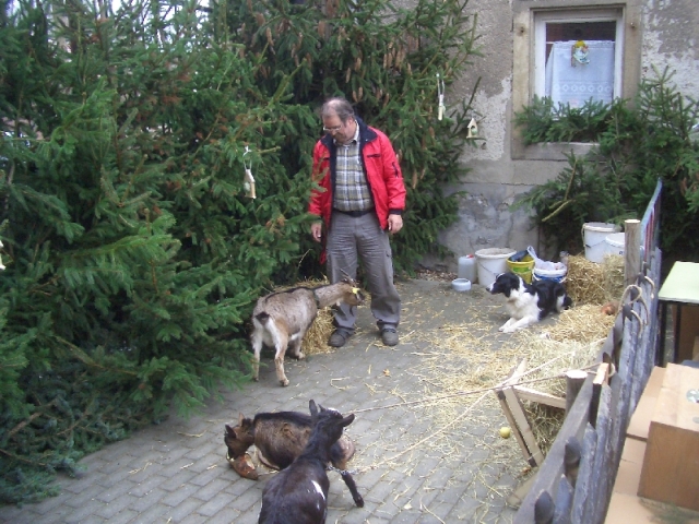 2009-11-28_Weihnachtsmarkt_46.jpg